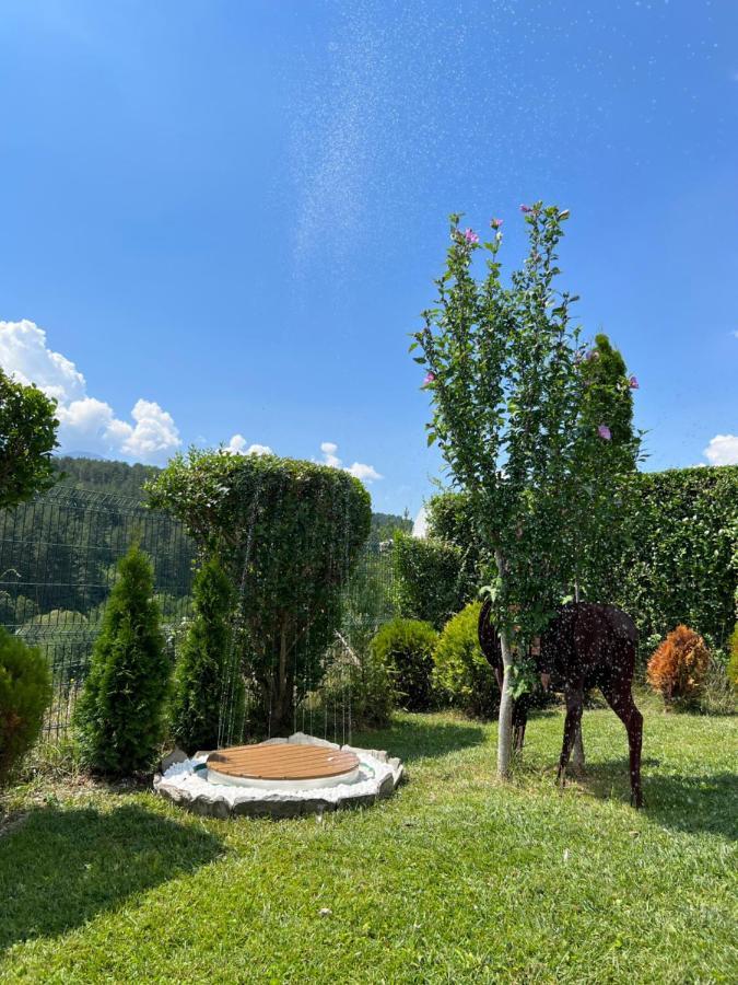 Katarino Spa Chalet Ράζλογκ Εξωτερικό φωτογραφία